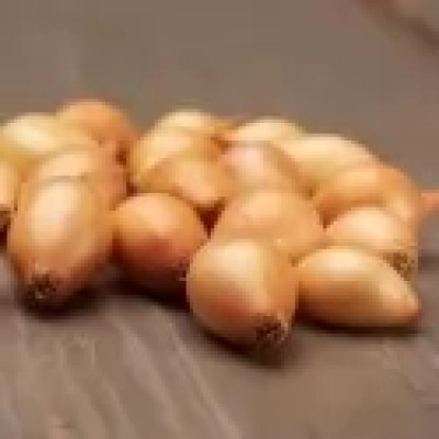 Цибуля ріпчаста (сіянка) Стурон, 1 кг