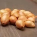 Цибуля ріпчаста (сіянка) Стурон, 0.5 кг