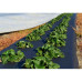 Агроволокно чорне, "GROWTEX", щільність: 90 г/м.кв, 1,6 х 100 м - Україна