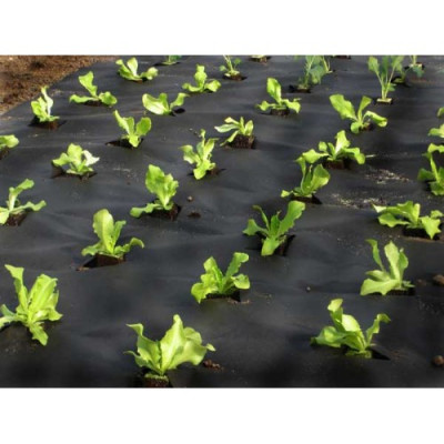 Агроволокно чорне, "GROWTEX", щільність: 90 г/м.кв, 1,6 х 100 м - Україна