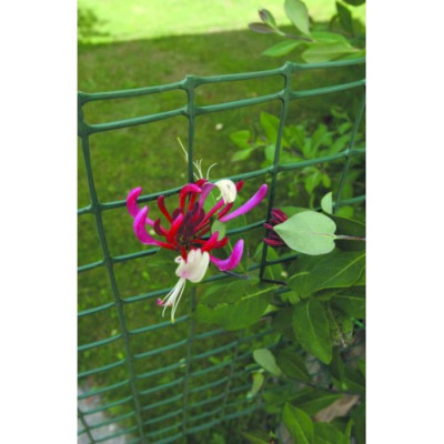 Огородження TENAX CINTOFLEX М чорне, 100х2 м (вічко 17х24 мм, щільність: 70 г/м.кв)