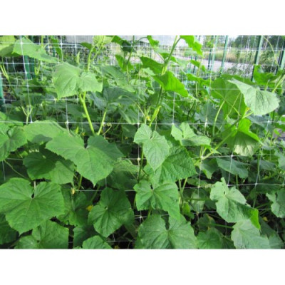 Сітка шпалерна Agreen зелена 1,7х100 м (вічко 16х17 см)