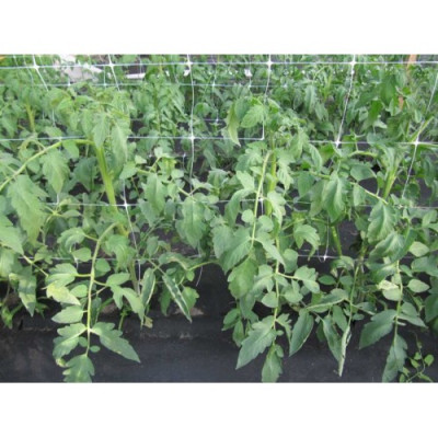 Сітка шпалерна Agreen зелена 1,7х10 м, (вічко 17х15 см)