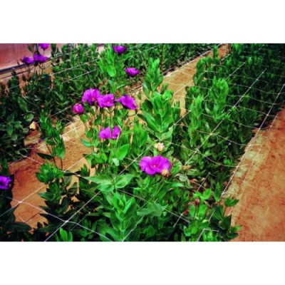 Сітка шпалерна квіткова Agreen біла, 1,2х100 м, (вічко 15х15 см)