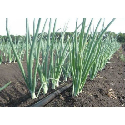 Крапельна стрічка "SantehPlast" 500 м/10 см/1,4 л/г, 9mil (емітерна) - Україна
