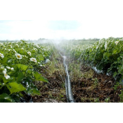 Спрей шланг "Туман Aqua Spray", діам. - 32 мм, 8 mil, (намотка - 1м) - Україна